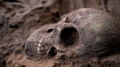 Ein Totenschädel im Sand | Bild: BR 