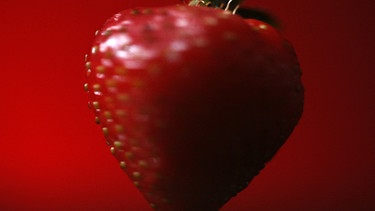 Nahaufnahme einer Erdbeere
| Bild: BR