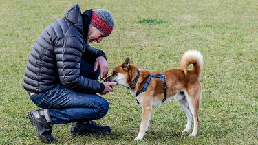 Markus Richter mit dem Shiba-Inu-Mischling Fox. | Bild: BR/Maximus Film GmbH