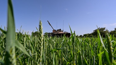 Ein zerstörter russischer Panzer in einem Feld in der Ostukraine  | Bild: picture alliance / Photoshot |Dmytro Smolyenko / Avalon