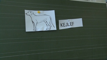 Schultafel in Schopfloch: "Kejlef" heißt Hund auf Lahoudisch.  | Bild: BR