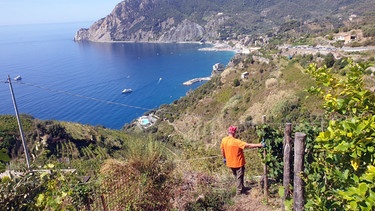 Ein Mann an einem Hang in den Cinque Terre | Bild: BR