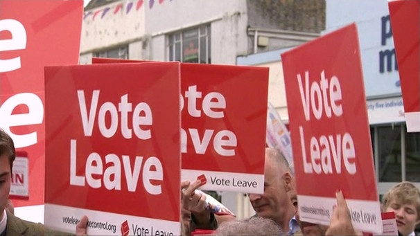Schilder mit der Aufschrift "Vote Leave" | Bild: BR