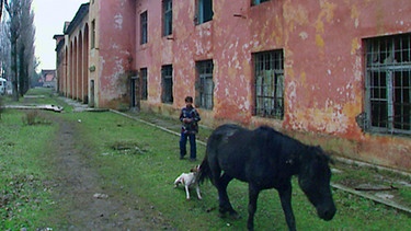 Ein Junge, ein Hund und ein Pferd an einer verlassenen Fabrikhalle | Bild: BR