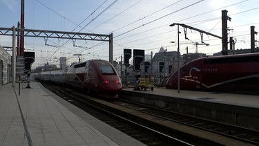 Thalys-Züge im Brüsseler Bahnhof | Bild: BR