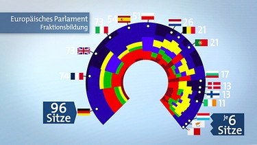Grafik zur Fraktionsbildung im Europäischen Parlament | Bild: BR