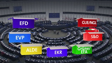 Die Fraktionen im Europäischen Parlament | Bild: BR