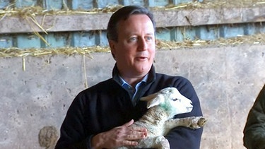 David Cameron | Bild: BR