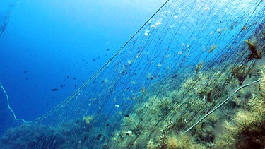 Ein Fischernetz am Meeresgrund | Bild: BR
