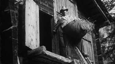 Ein Bauer mit einem Tuch voller Heu auf der Leiter eines Heuschobers | Bild: BR