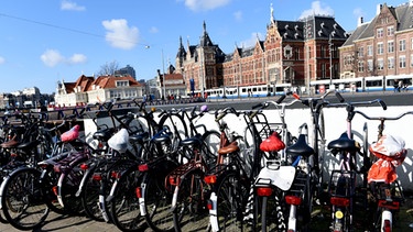 Niederlande: Mehr Fahrräder als Einwohner | Bild: picture-alliance/dpa