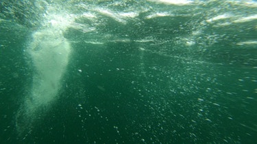 Strudel unter Wasser | Bild: BR