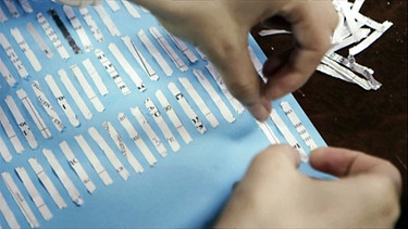 Streifen geschredderter Akten werden auf einem Bogen blauen Papiers aufgeklebt. | Bild: BR