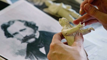 Die historischen Schaukästen, Diorama genannt, entstehen in liebevoller Handarbeit. | Bild: BR
