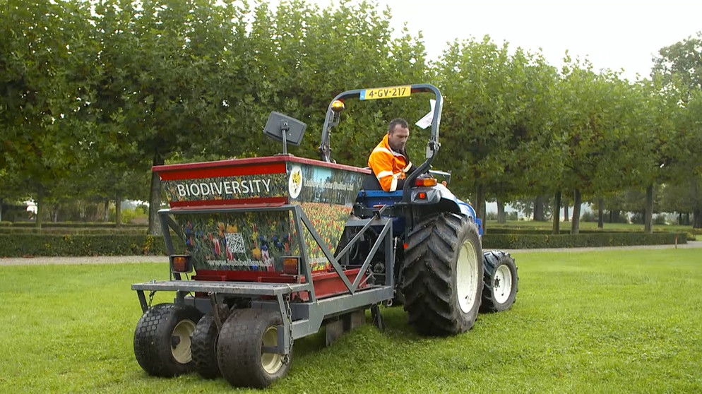 Ein Traktor mit einem besonderen Gerät wird verwendet, um Blumenzwiebeln einzupflanzen. | Bild: BR