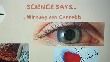 Uni Bamberg klärt über Cannabis-Konsum auf | Bild: BR