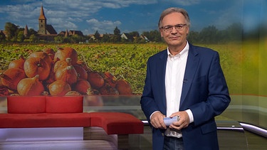 Charly Hilpert moderiert die Frankenschau aktuell. | Bild: BR