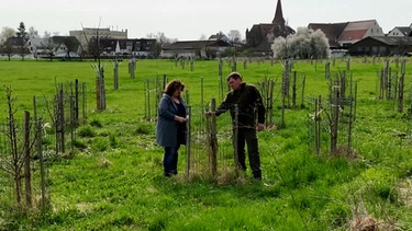 Günther und Alexandra Ringel begutachten ihre gepflanzten Bäume. | Bild: BR