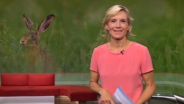 Julia Büchler moderiert die Frankenschau aktuell. | Bild: BR