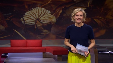 Julia Büchler moderiert die Frankenschau aktuell | Bild: BR