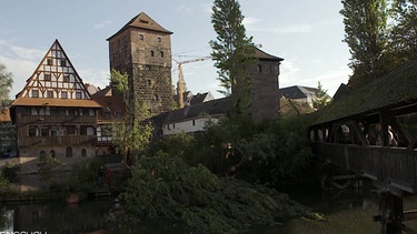 Umgefallener Baum vor Henkerssteg in Nürnberg. | Bild: BR