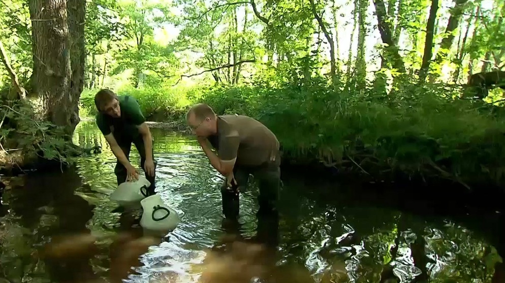 Bund-Naturschutz-Mitarbeiter arbeiten in einem Fluss | Bild: BR