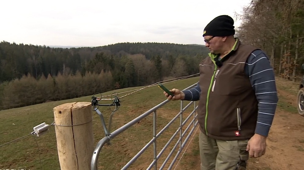 Ein Landwirt aus Bayreuth prüft seinen Zaun zum Schutz vor den Wölfen. | Bild: BR