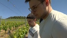 Zwei Studenten in einem Weinberg | Bild: BR Fernsehen