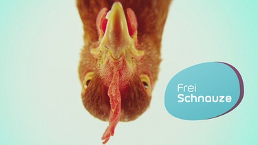 Kopf eines Huhns und "Frei Schnauze"-Logo | Bild: BR