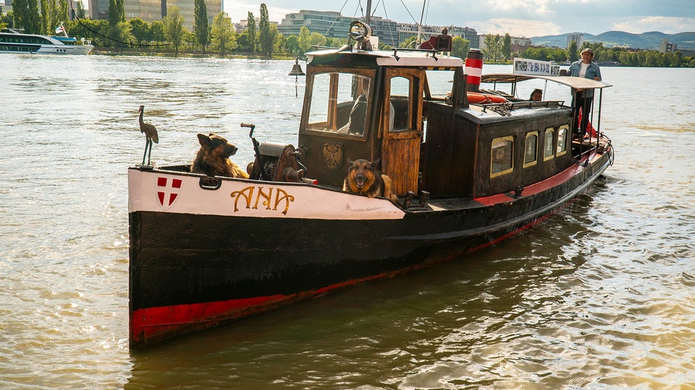 Kajak selber bauen auf der Donau | Bild: André Goerschel