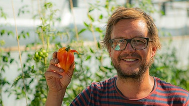  Johannes Schwarz - der Herr der Tomaten | Bild: André Goerschel