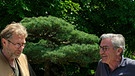 Der „Herr der Bäume“ Günther Klösch hat über 3000 Bonsais in seinem Garten. Rechts: Franz X. Gernstl. | Bild: BR/megaherz gmbh/HP Fischer