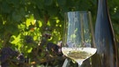 Ein Glas Wein und eine Flasche stehen vor Weinreben | Bild: Bayerischer Rundfunk 2020