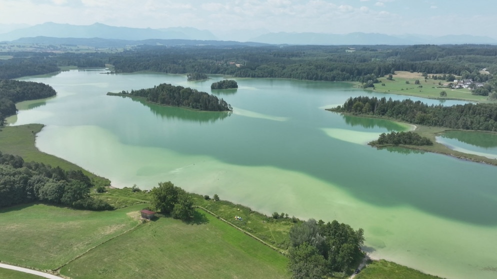 Wie gut ist die Wasserqualität der bayerischen Seen? | Bild: BR