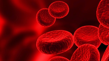 Grafische Darstellung von roten Blutkörperchen in Adern | Bild: colourbox.com