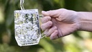 Planet Wissen - Ist unserem Trinkwasser noch zu trauen? | Bild: planet-wissen.de