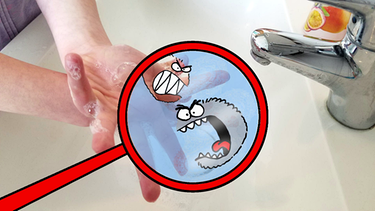Handhygiene: waschen oder desinfizieren? | Bild: BR