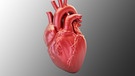 Herz: gefährliche Entzündung durch Infekte | Bild: colourbox.com
