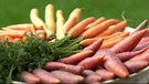 Bunte Karotten | Bild: BR