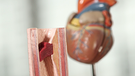 Modell einer Arterie. Lebensgefährlicher Verschluss:
Lungenarterienembolie  | Bild: BR