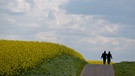21.04.2024, Hessen, Oberursel: Spaziergänger laufen unter wolkenverhangenem Himmel an einem blühenden Rapsfeld vorbei. In den kommenden Tagen soll sich das Wetter langsam wieder beruhigen. Foto: Boris Roessler/dpa +++ dpa-Bildfunk +++ | Bild: dpa-Bildfunk/Boris Roessler