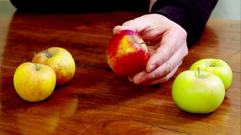 Alte Apfelsorten sind verträglicher | Bild: BR/Gut zu wissen