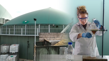 Wissenschaftlerin Daniela Thrän bei Laborversuchen. Hintergrund Biogas-Anlage | Bild: BR/Gut zu wissen