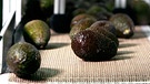Avocados werden mit einer unsichtbaren Schutzschicht ummantelt.  | Bild: BR/Gut zu wissen