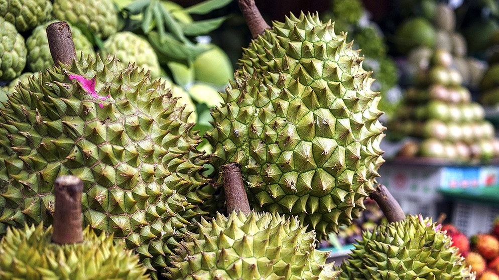 Stinkefrucht Durian | Bild: picture-alliance/dpa