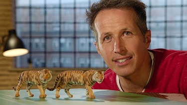 "Gut zu wissen"-Moderator Willi Weitzel fragt nach über den Tigerhandel in Euopa | Bild: BR/Gut zu wissen