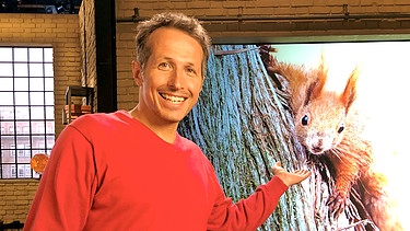 Willi Weitzel mit Eichhörnchen im Hintergrund | Bild: BR/Gut zu wissen