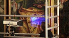 Forscherin untersucht Schäden am Gemälde. Extreme Temperaturschwankungen bedingt durch den Klimawandel verursache Schäden in kostbaren Gemälden.  | Bild: BR/Gut zu wissen