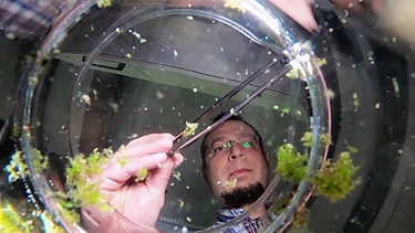 Umweltforscher mit Pipette im Wasserglas. Er untersucht Mikroplastik im Wasser. | Bild: BR/Gut zu wissen