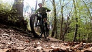 Mountainbiker im Wald. Wie stark schädigen sie die Natur?  | Bild: BR/Gut zu wissen